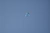 Blaue Welt